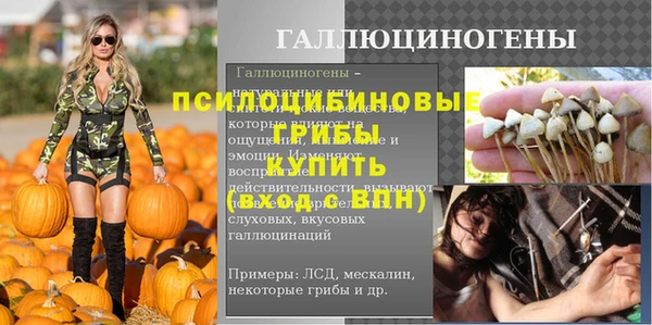 экстази Гусь-Хрустальный