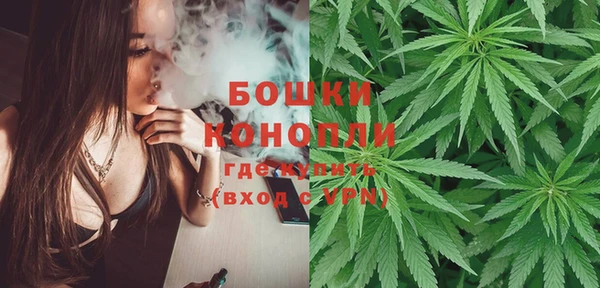 экстази Гусев
