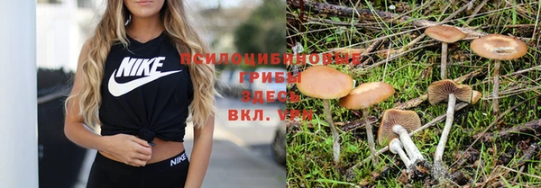 экстази Гусев