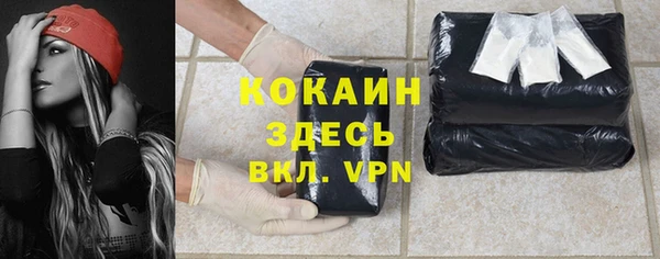 экстази Гусев